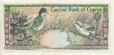 Beschrijving achterzijde: BIRDS